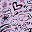 Doodle Light Purple