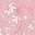 Florals Coral Pink