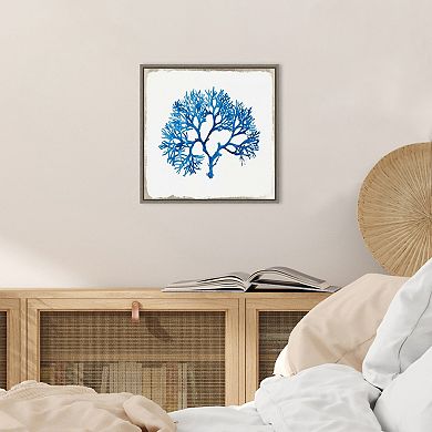 Amanti Art Blue Coral I Framed Canvas Print