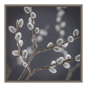 Amanti Art Pussy Willows II Framed Canvas Print