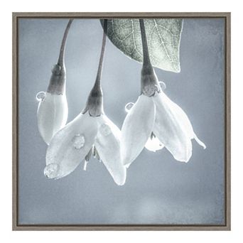 Amanti Art Japanese Snowbell Tree Blossoms Framed Canvas Print