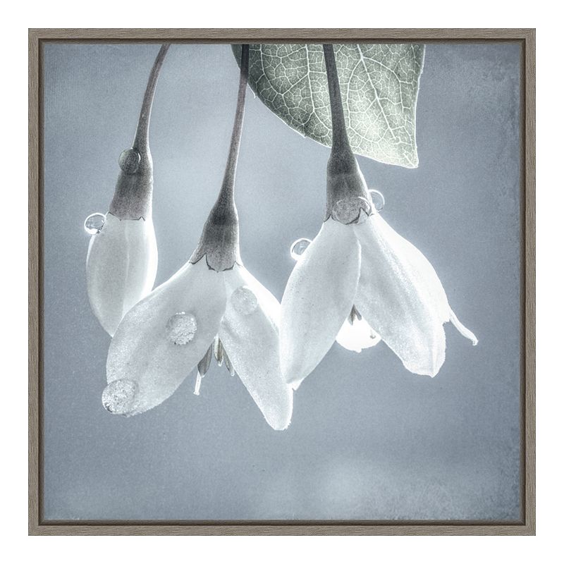 Amanti Art Japanese Snowbell Tree Blossoms Framed Canvas Print, Grey, 16X16