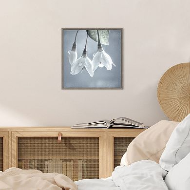 Amanti Art Japanese Snowbell Tree Blossoms Framed Canvas Print