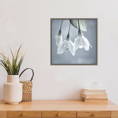 Amanti Art Japanese Snowbell Tree Blossoms Framed Canvas Print