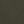 Camo Midnight Olive