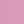 Check Fuchsia Cream