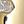Gold Tone White