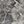 Gray Charcoal Cream