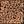 Vicuna Heather Leopard