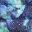 Blue Space Galaxy