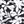 Black Havana Floral