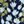 Navy Bloom Floral