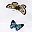 Butterflies Print