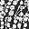 Black White Floral