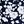 Navy Blossom Floral