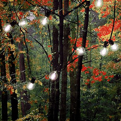 Globe Electric 25-Light LED String Lights