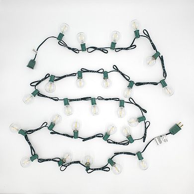 Globe Electric 25-Light LED String Lights