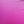 Crimson Rose Purple
