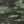 Green Camo