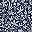 Navy White Floral
