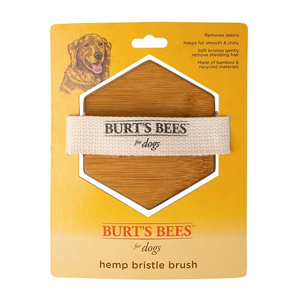 Burt's Bees for Pets Dog Hemp Bristle Brush