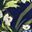 Sea Blue Floral