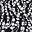 Black White Floral