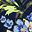 Sea Blue Floral
