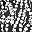 Black White Floral