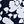 Navy Blossom Floral