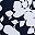 Navy Blossom Floral