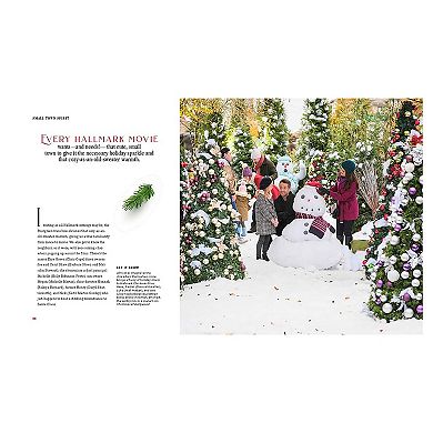 Hallmark Channel Countdown to Christmas Cookbook