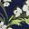 Sea Blue Floral