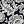 Floral Medley Black