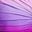Crimson Rose Purple