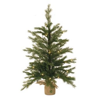 Melrose 36 in Tree in Burlap