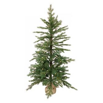 Melrose 49 in Tree in Burlap