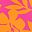 Pink Havana Floral