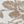Garden Toile Brown