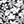 Black Havana Floral