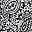 Black White Paisley