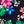 Deep Sea Navy Rosella