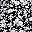 Black Blossom Floral