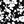 Black Blossom Floral