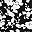 Black Blossom Floral