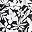 Black Havana Floral