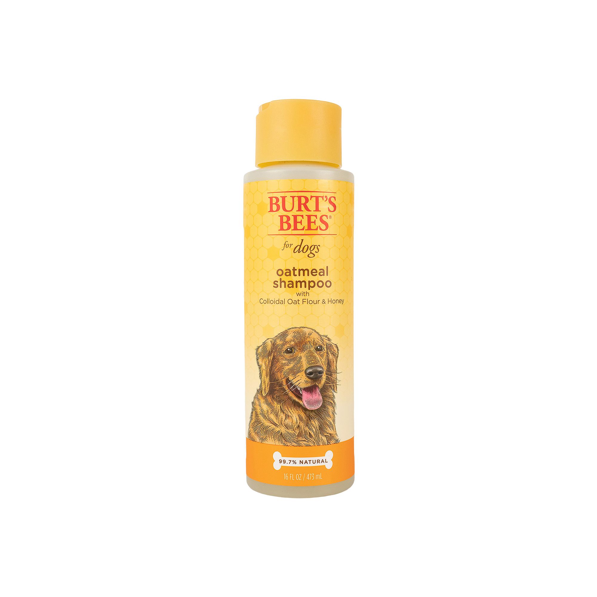Burts Bees for Pets Oatmeal Dog Shampoo with Colloidal Oat Flour and Honey