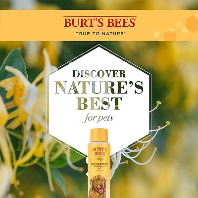 Burt's Bees for Pets Dog Itch Soothing Shampoo with Honeysuckle