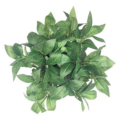 Sonoma Goods For Life® Sonoma Faux House Plant
