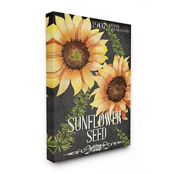 Stupell Home Decor Floral Sunflower Seed Wall Art